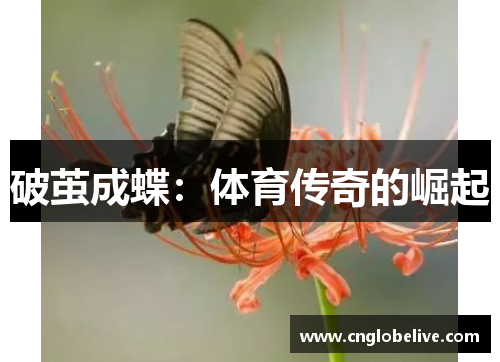 破茧成蝶：体育传奇的崛起